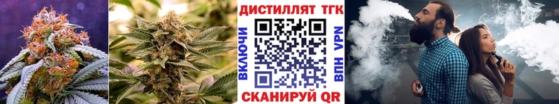 где купить наркоту  Елизаветинская  Дистиллят ТГК концентрат 
