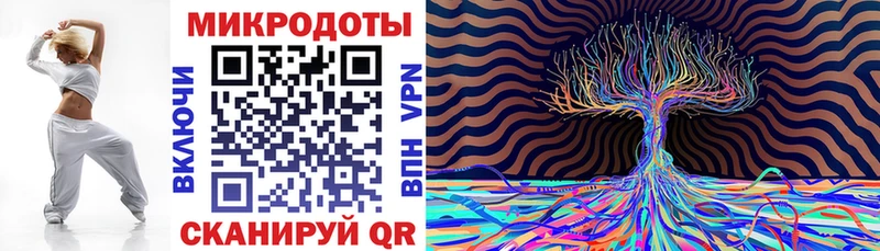 Галлюциногенные грибы Psilocybe  Елизаветинская 